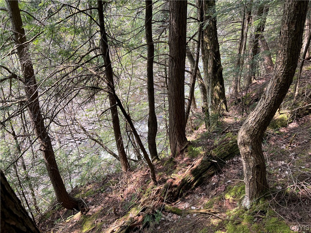 4893 West Ava Road Ava, NY 13471 - Photo 41 of 50 East Branch of Fish Creek