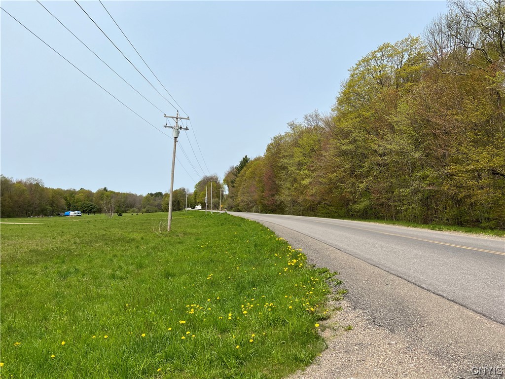 4893 West Ava Road Ava, NY 13471 - Photo 45 of 50 View looking north on W Ava Rd