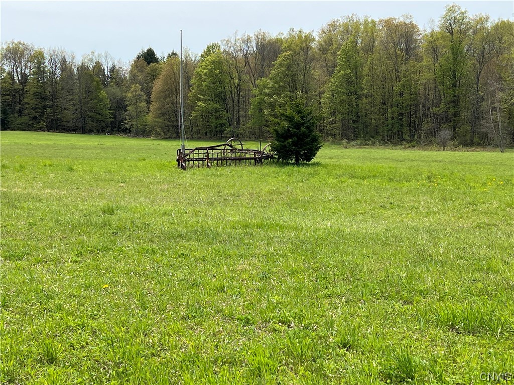 4893 West Ava Road Ava, NY 13471 - Photo 47 of 50 Field by road
