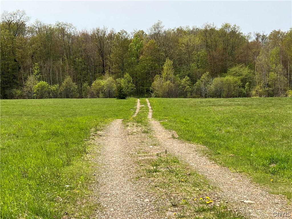 4893 West Ava Road Ava, NY 13471 - Photo 49 of 50 Driveway