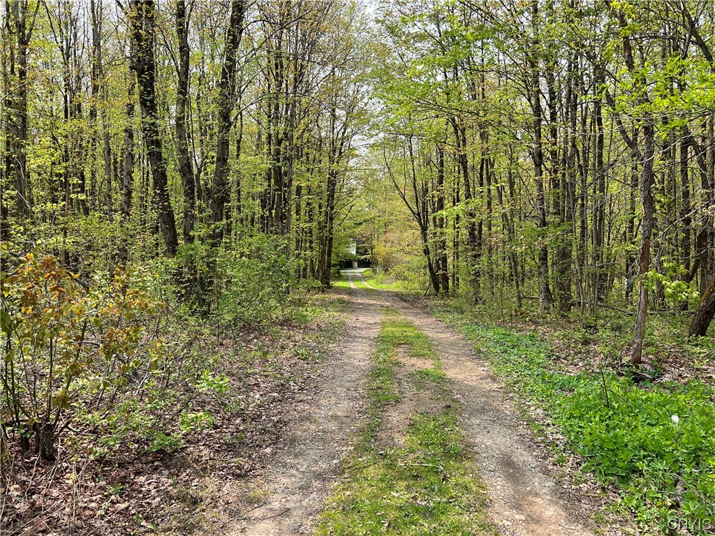 4893 West Ava Road Ava, NY 13471 - Photo 50 of 50 Driveway past the field