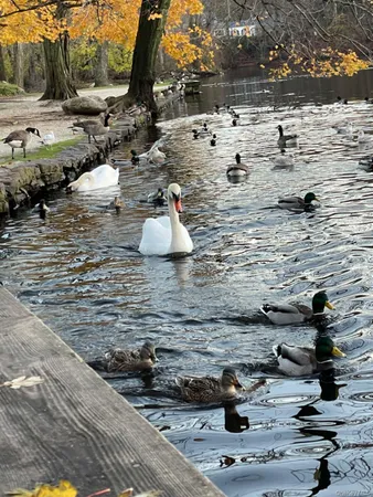 $5,300 | 18 Bayles Avenue, Stony Brook, NY 11790