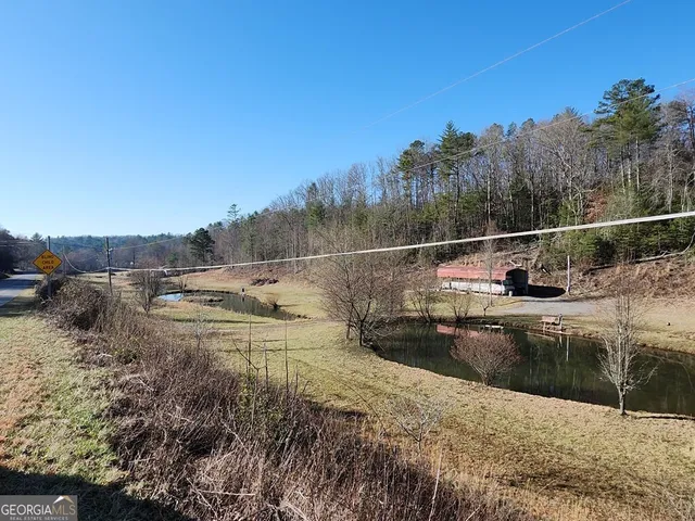 a view of a yard with trees