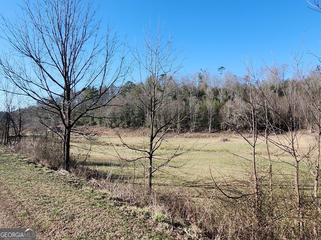 31.53-acres Barnett Road Murphy, NC 28906 - Photo 13 of 23 a view of a yard with trees