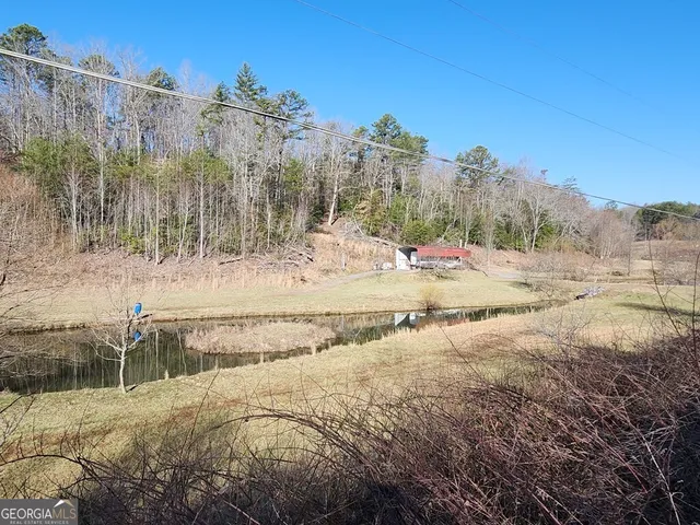 a view of dirt field with trees
