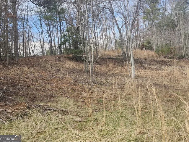 $575,000 | 31.53-acres Barnett Road, Murphy, NC 28906