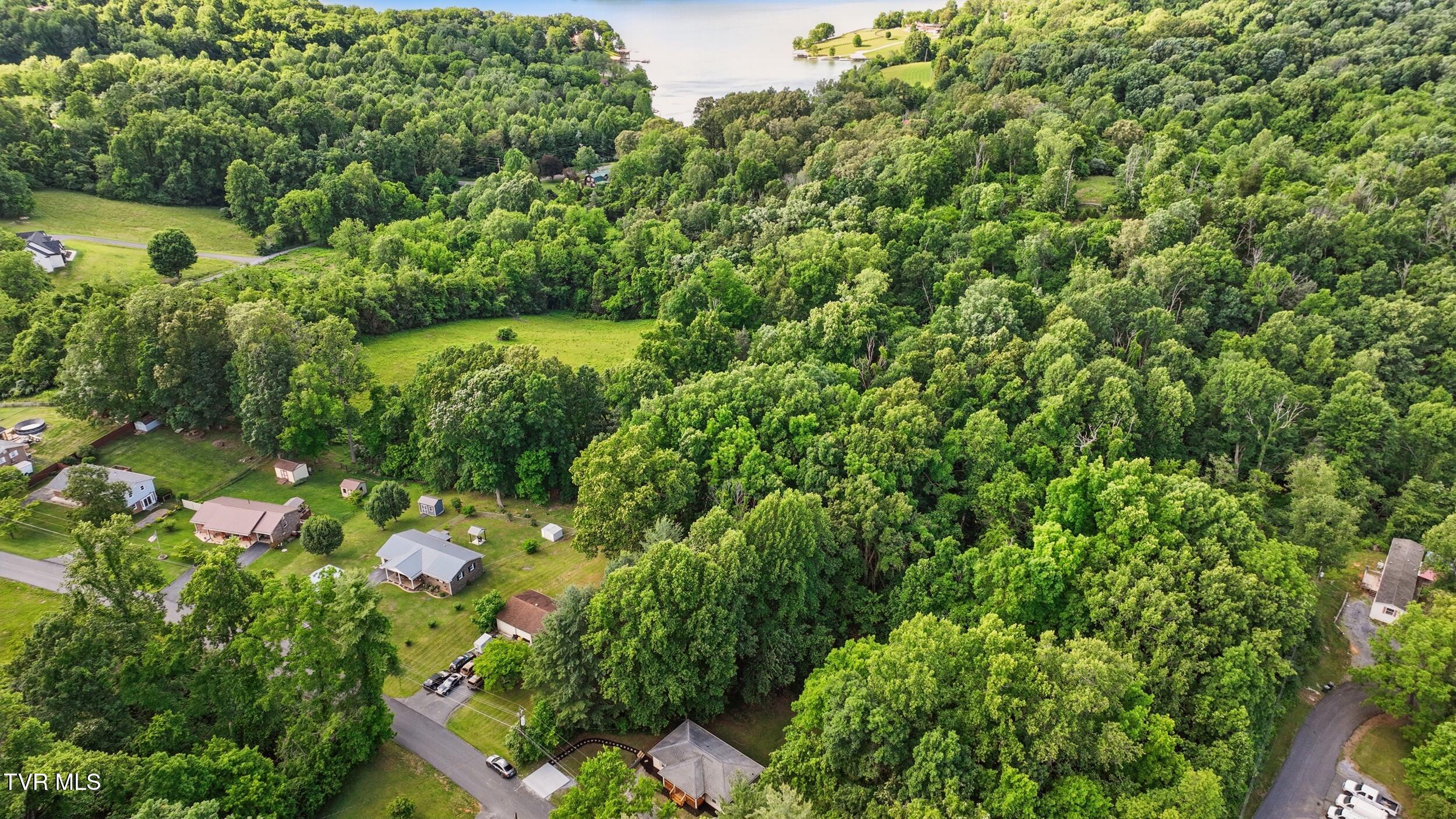 142 Rhody Drive Gray, TN 37615 - Photo 5 of 31 5_dji_0315