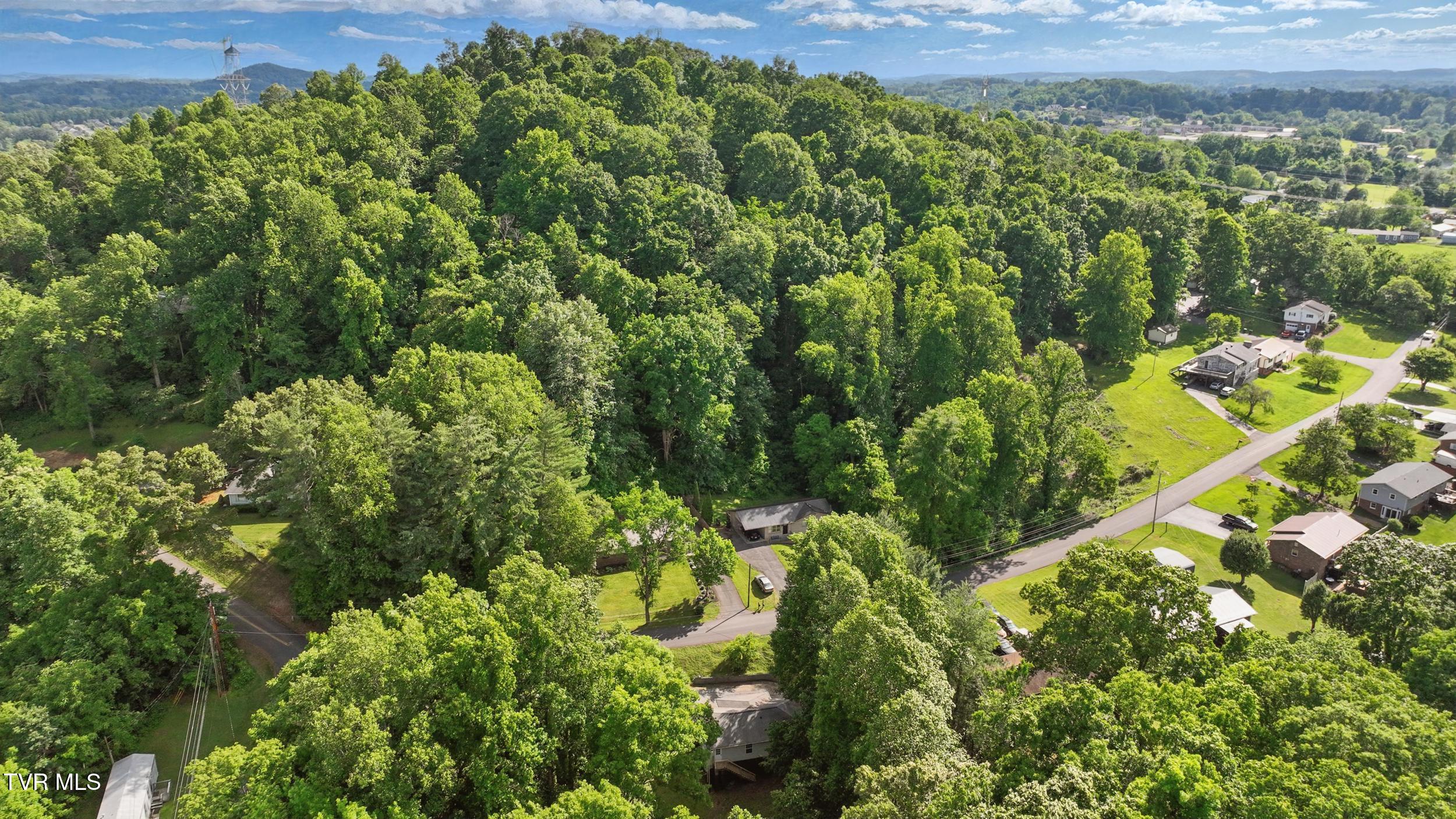 142 Rhody Drive Gray, TN 37615 - Photo 6 of 31 7_dji_0317