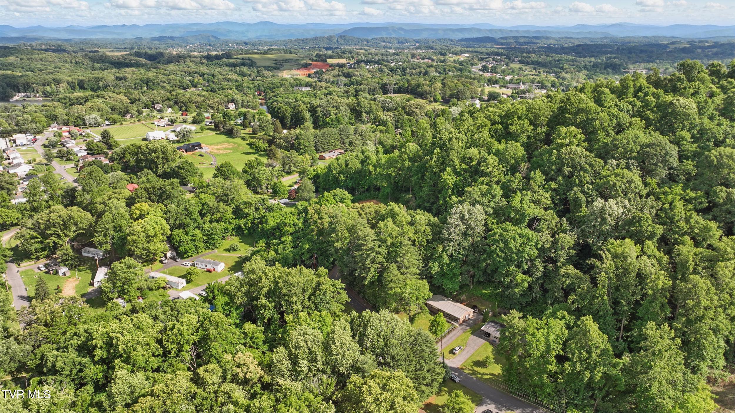 142 Rhody Drive Gray, TN 37615 - Photo 7 of 31 8_dji_0318