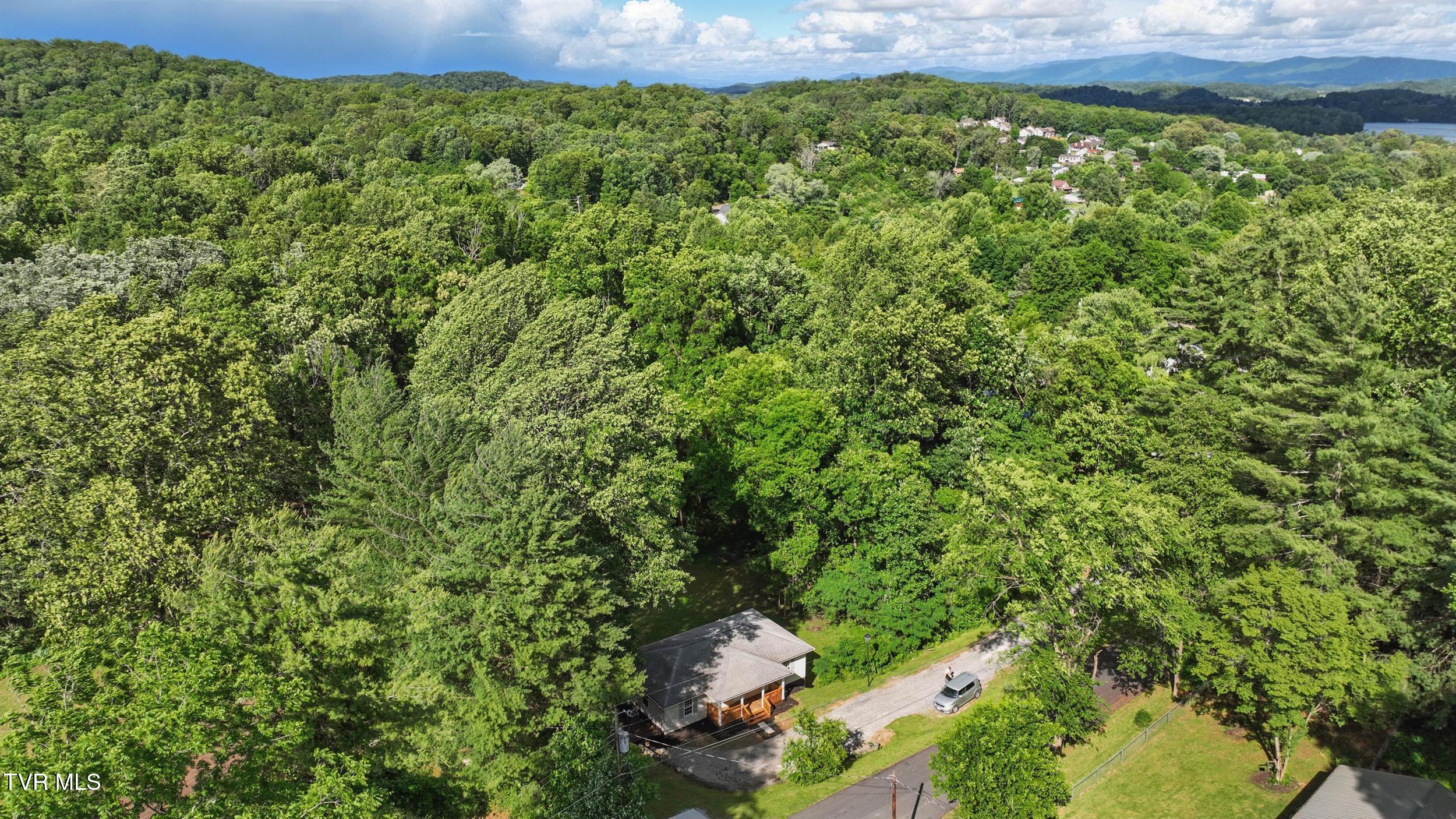 142 Rhody Drive Gray, TN 37615 - Photo 9 of 31 10_dji_0320