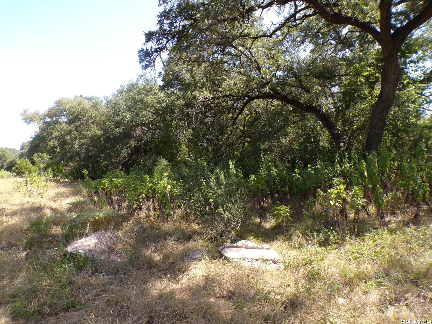 31401 Smithson Valley Road Bulverde, TX 78163 - Photo 5 of 12 Gallery Image 5