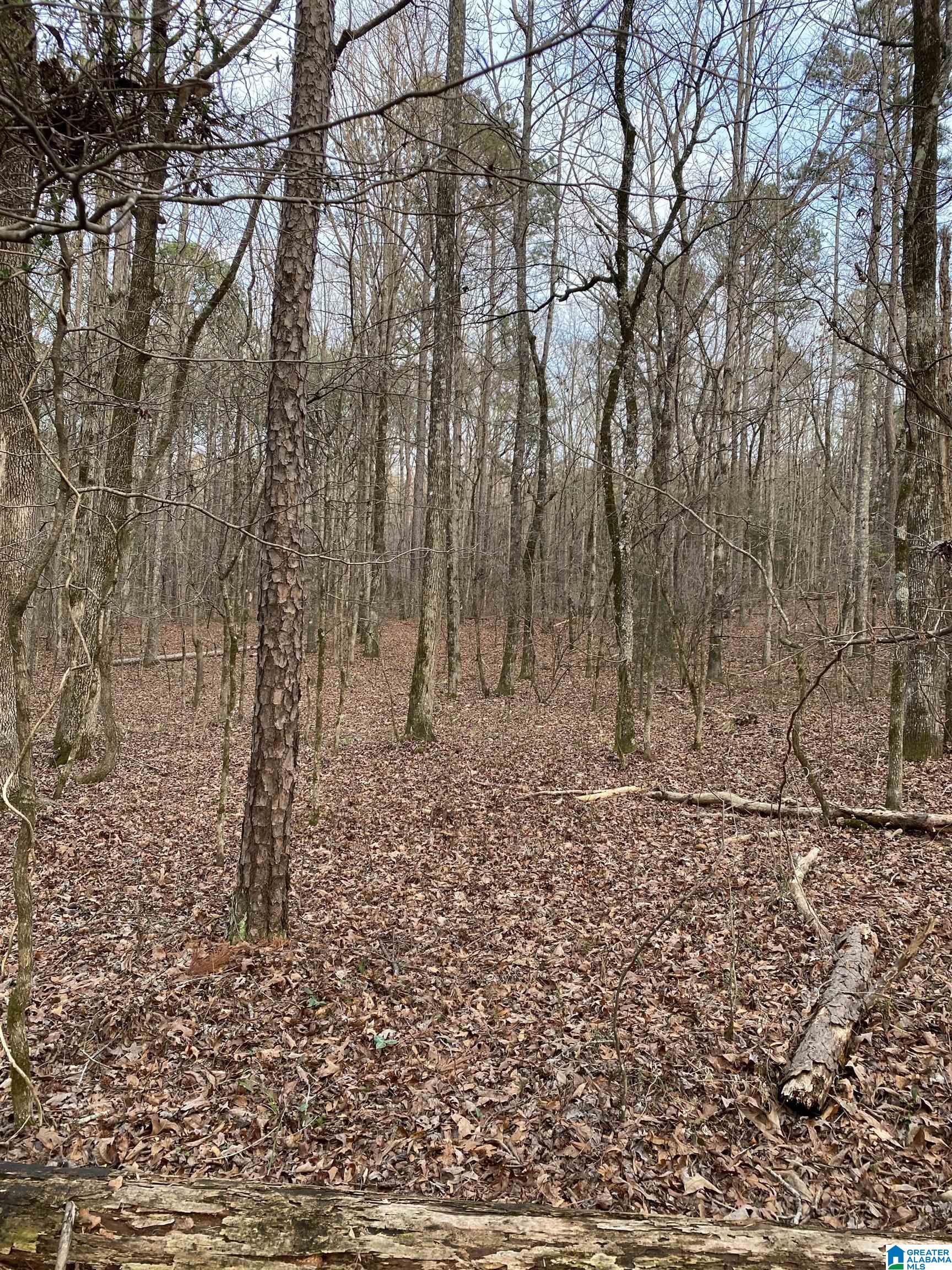 Bridlewood Farms Road, Unit 2 Montevallo, AL 35115 - Photo 19 of 25