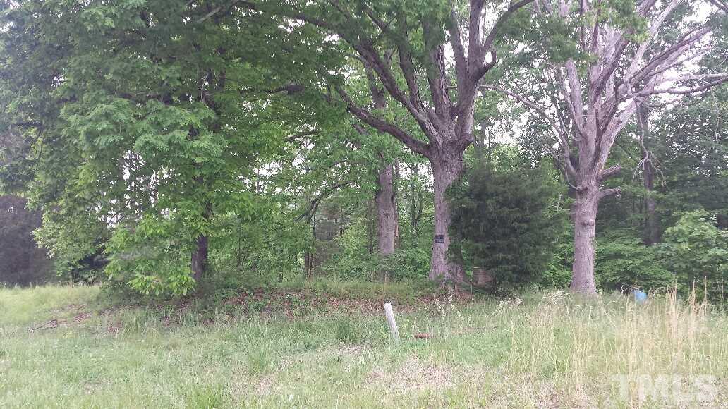 0 Lawson Chapel Church Road Roxboro, NC 27574 - Photo 3 of 4 a view of a lush green forest