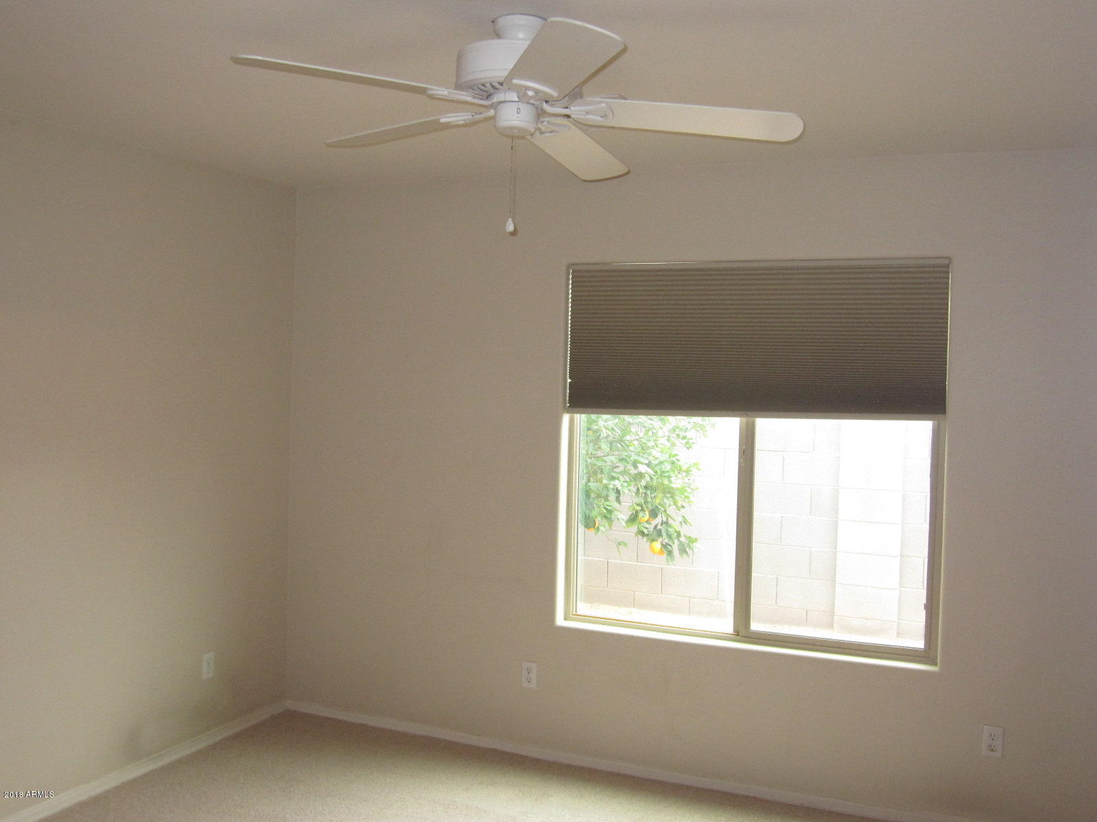 2574 South Powell Road Apache Junction, AZ 85119 - Photo 8 of 12 Marquita Estate 2 010