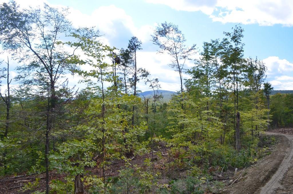 Off Matthews Road Monson, ME 04464 - Photo 10 of 15 Maine Land for Sale