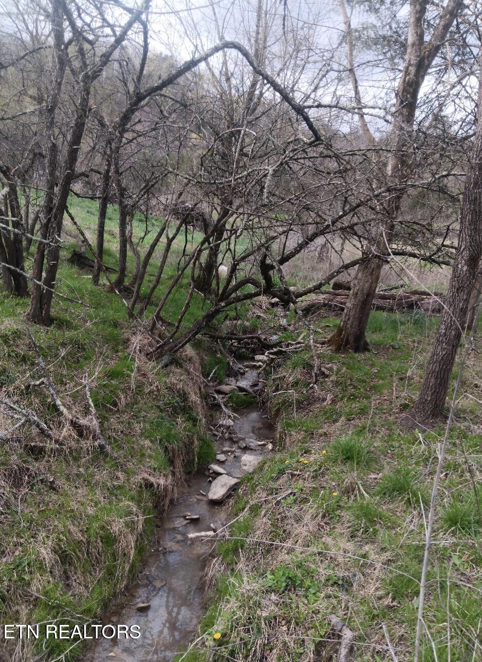Lick Branch Road Ewing, VA 24248 - Photo 2 of 6 creek