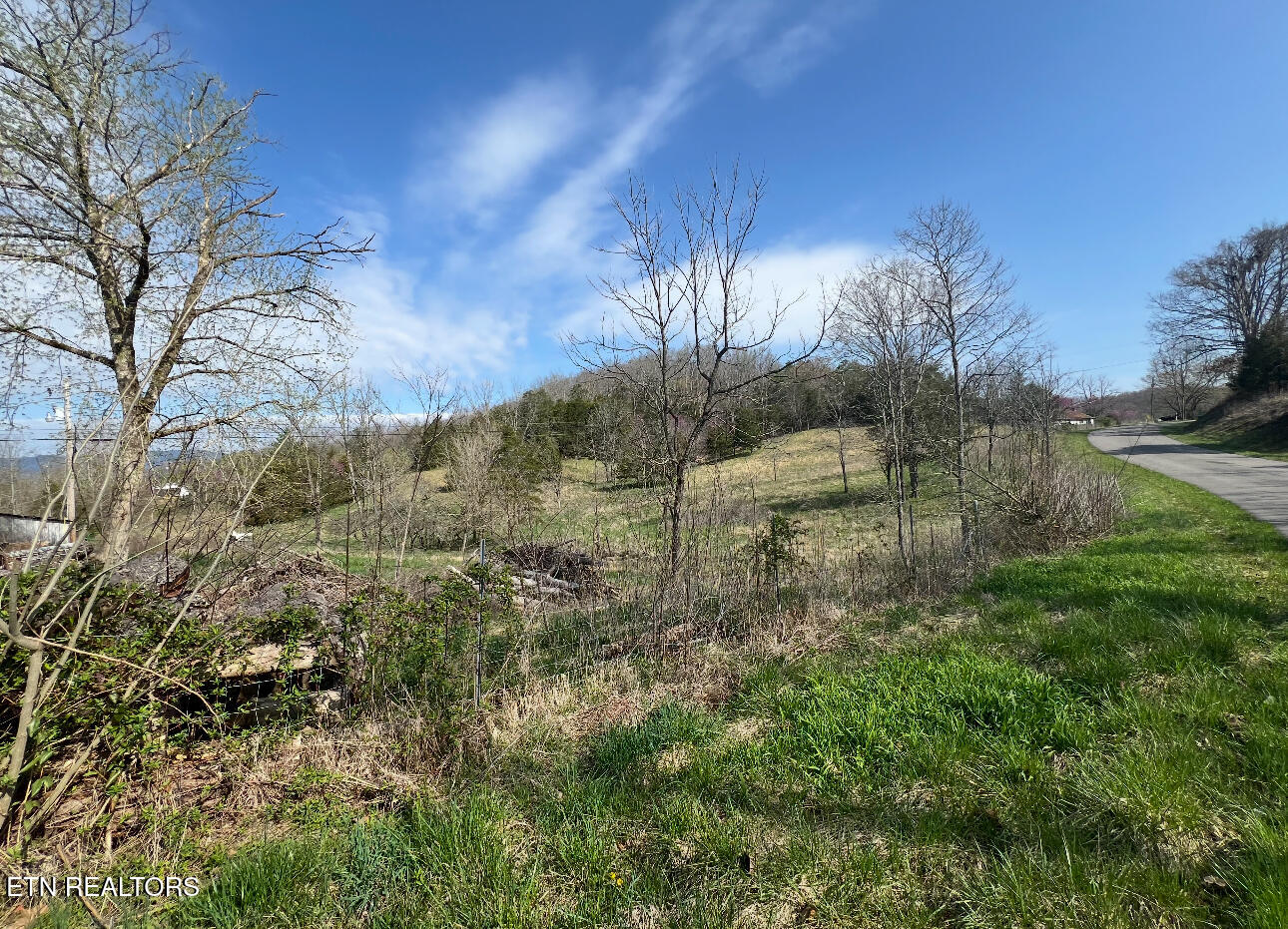 Lick Branch Road Ewing, VA 24248 - Photo 4 of 6 land