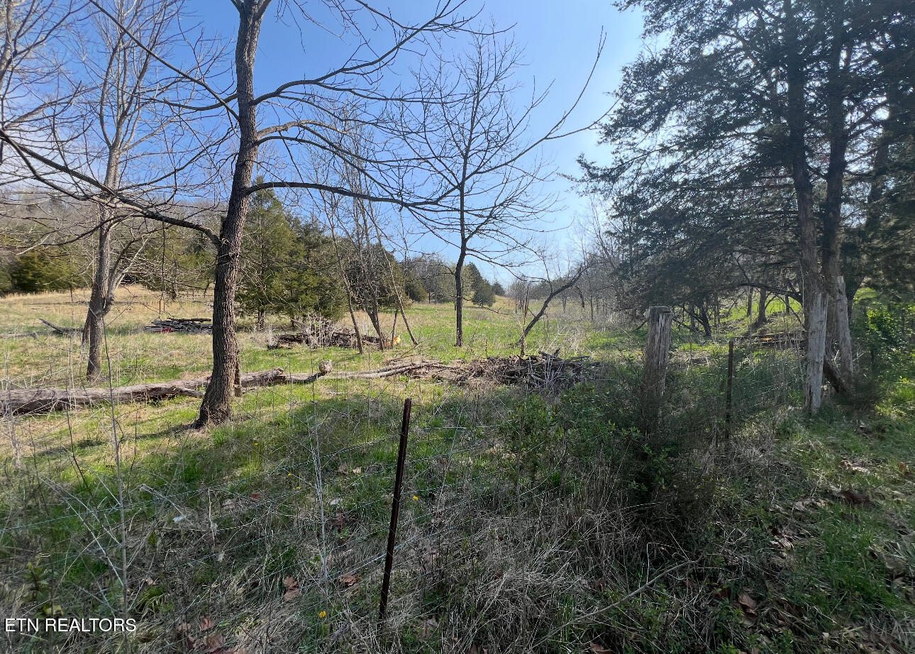Lick Branch Road Ewing, VA 24248 - Photo 6 of 6 land
