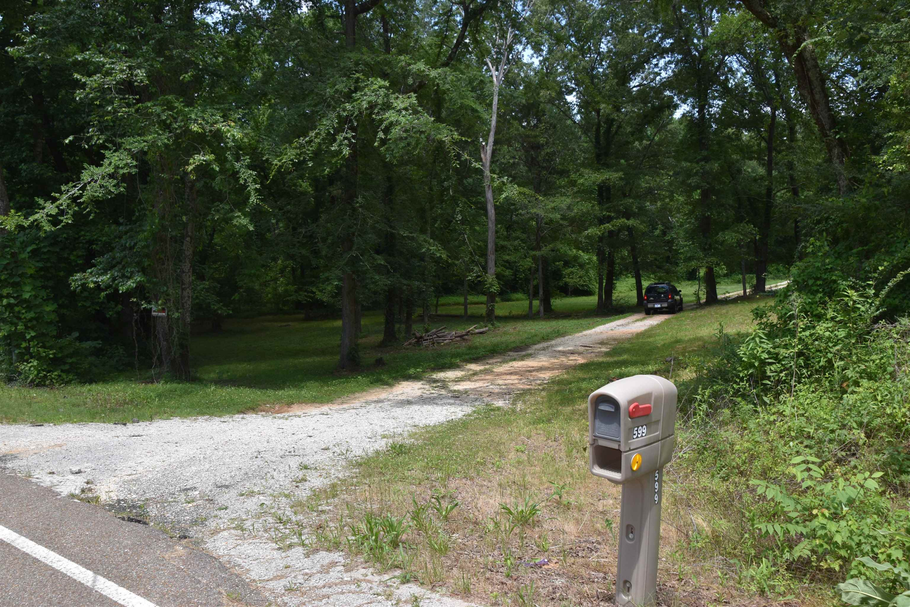 599 Browns Church Road Jackson, TN 38305 - Photo 4 of 37 Photo 4