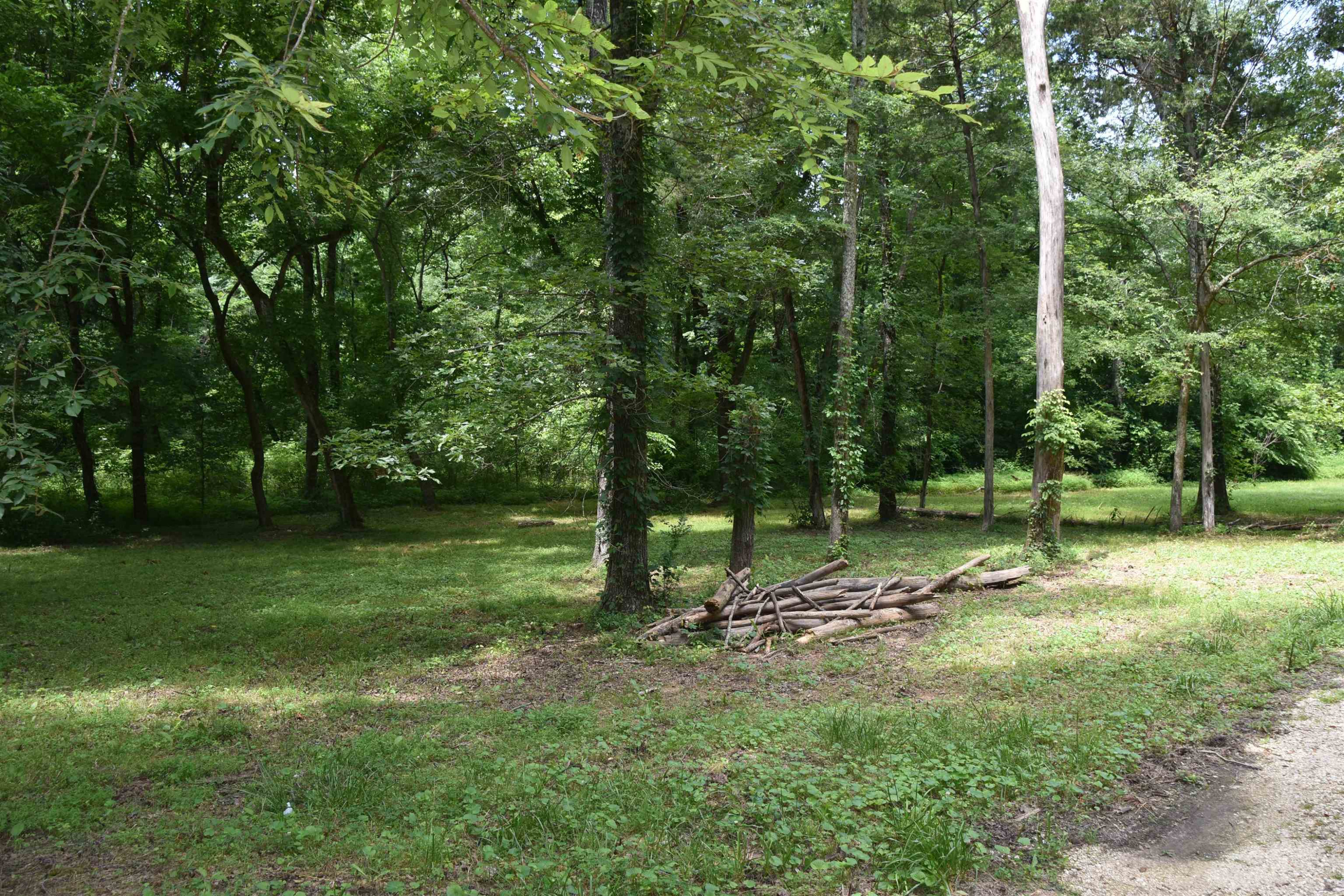 599 Browns Church Road Jackson, TN 38305 - Photo 5 of 37 Photo 5