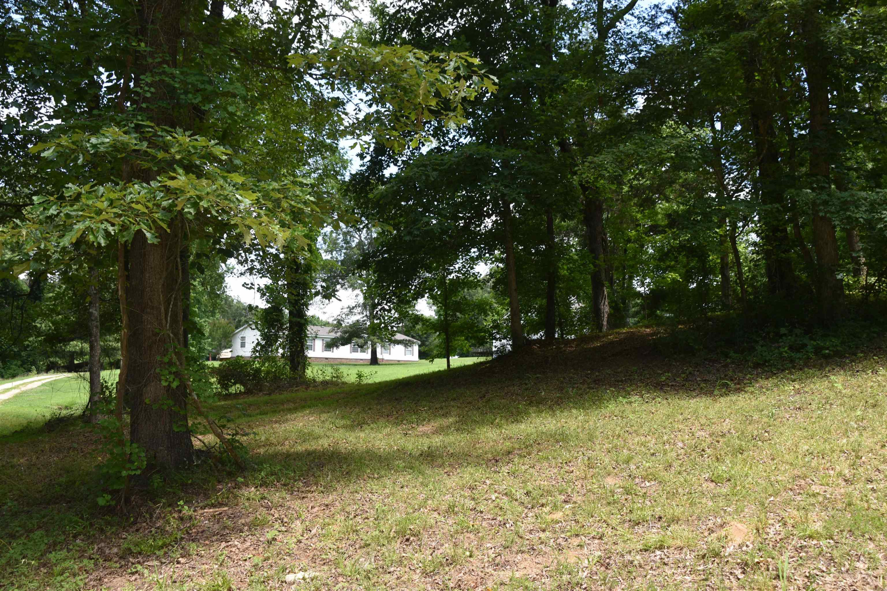 599 Browns Church Road Jackson, TN 38305 - Photo 6 of 37 Photo 6