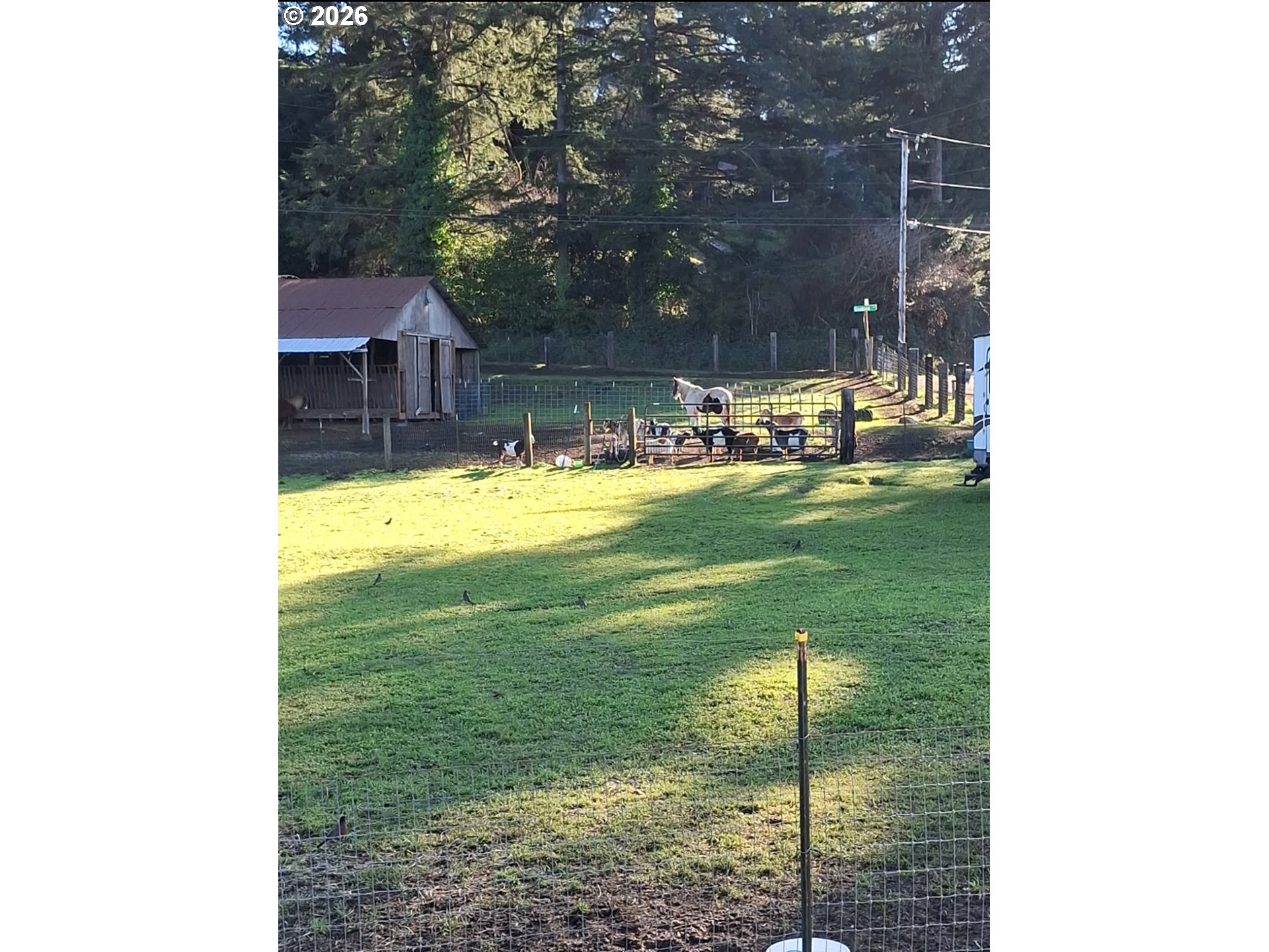 63559 Shinglehouse Road Coos Bay, OR 97420 - Photo 3 of 45