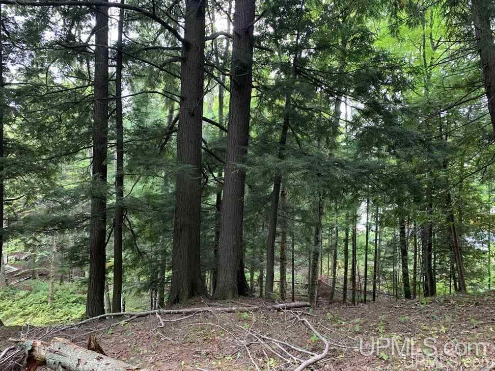 Lot 1 Bayview Road Lanse, MI 49946 - Photo 24 of 27