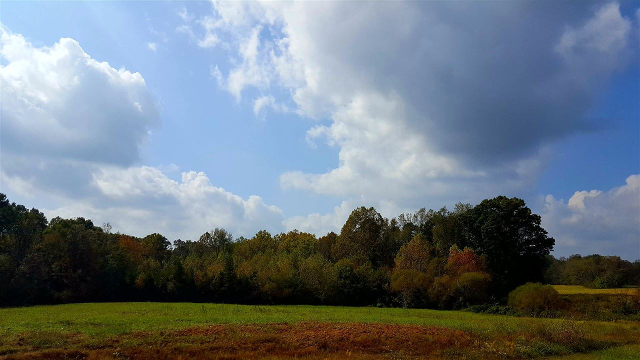 Tom Oakley Road Timberlake, NC 27583 - Photo 1 of 4 Photo 1
