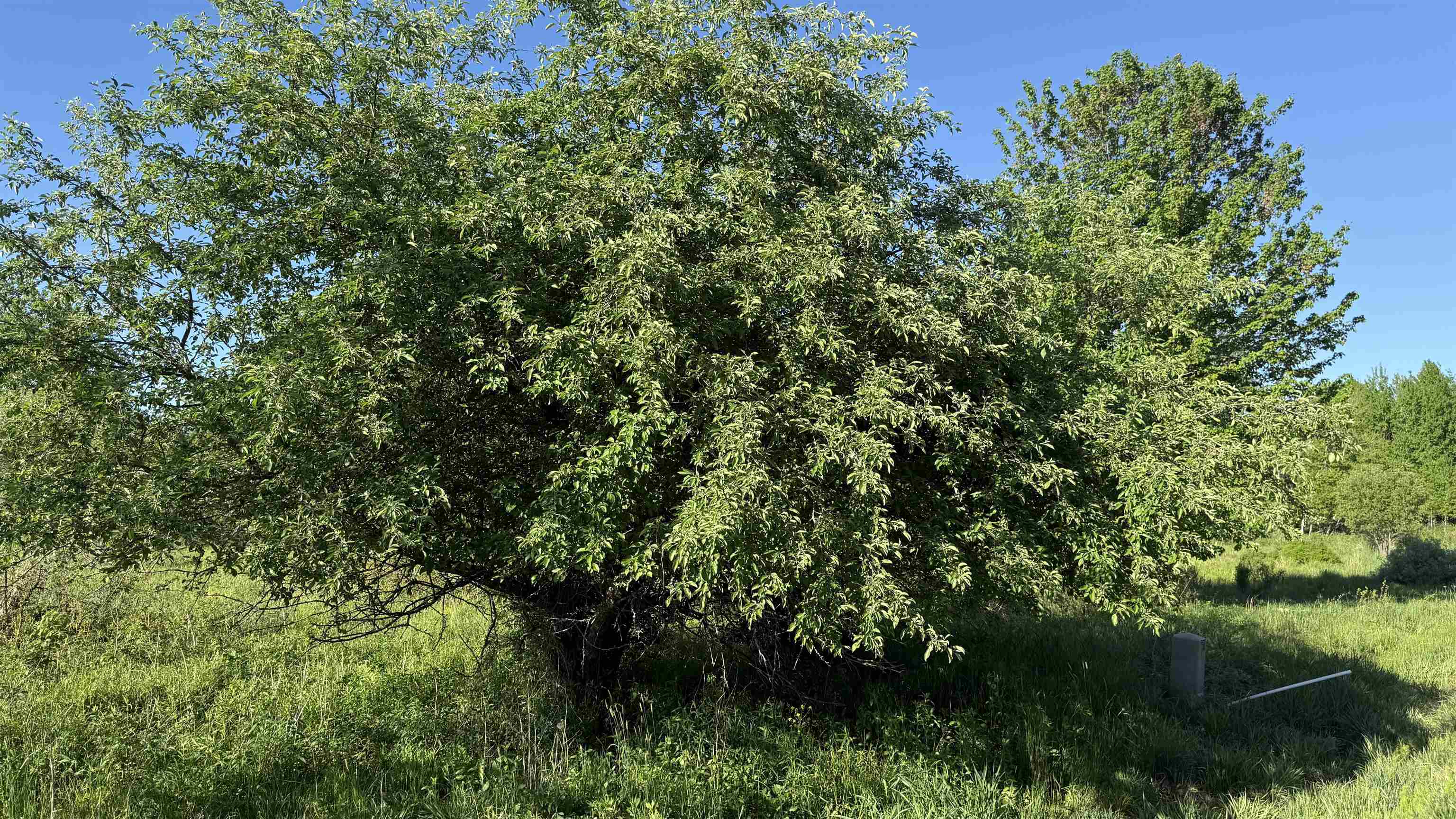 Lot 3 Eau Claire River Road Ringle, WI 54471 - Photo 17 of 28