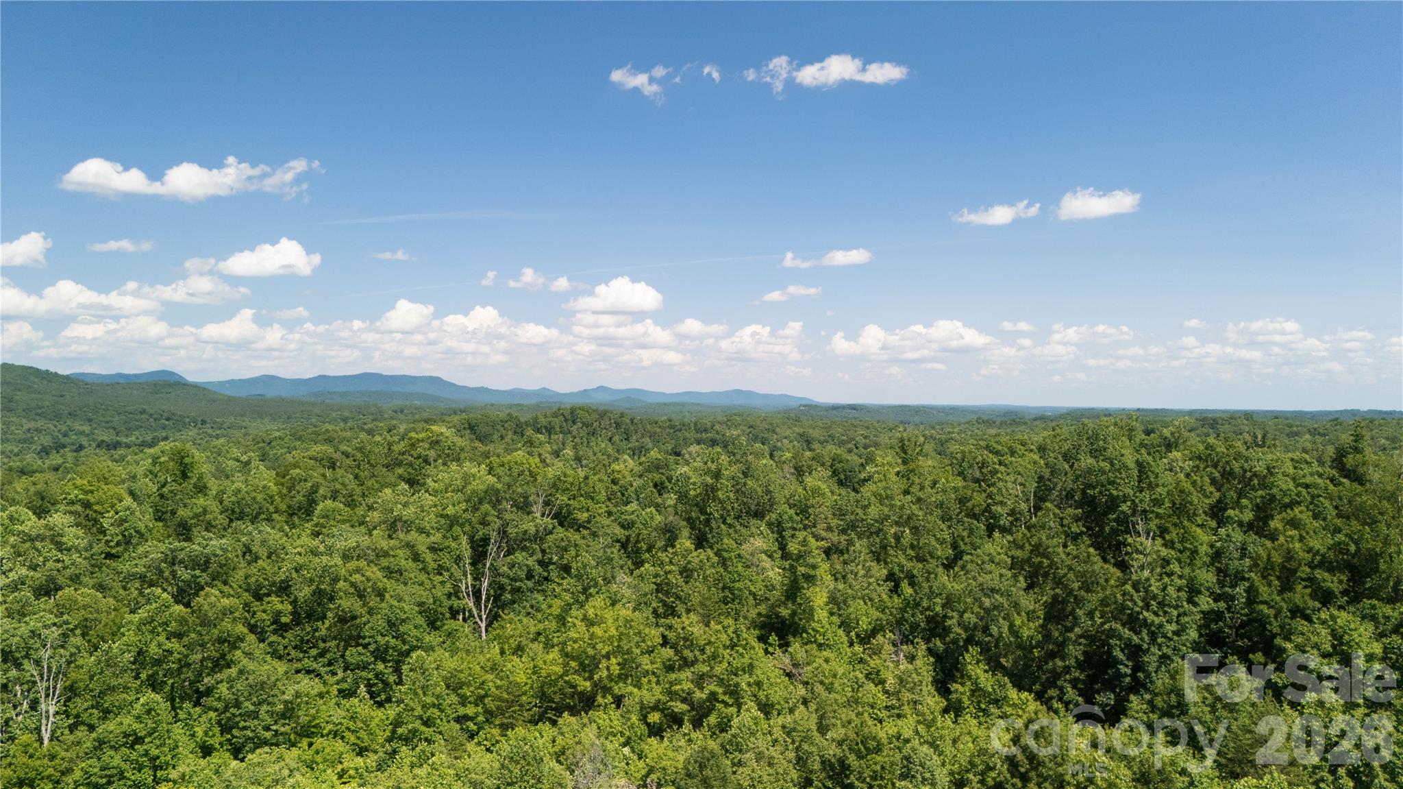 540 Crutchfield Road Union Mills, NC 28167 - Photo 11 of 19