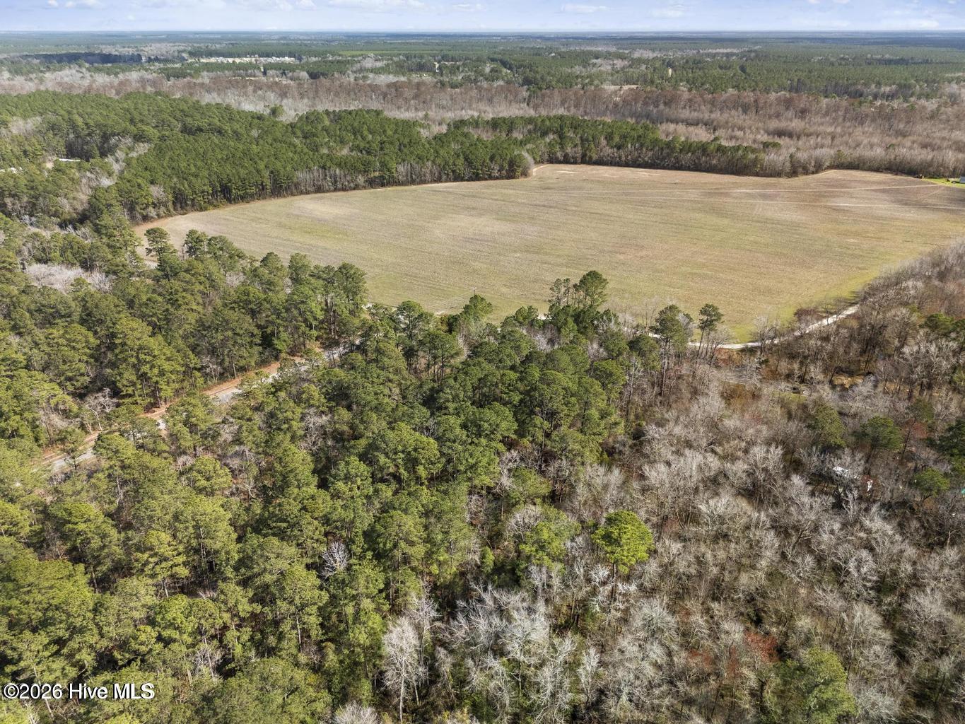 Lot 2 Page Road Burgaw, NC 28425 - Photo 11 of 12 20260408211345030052000000-o