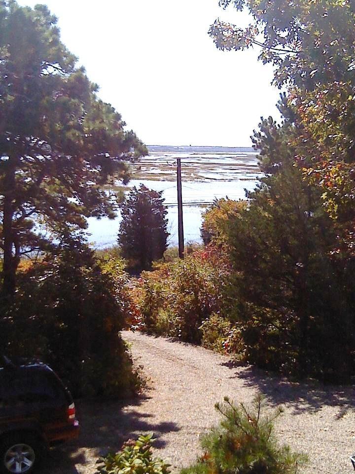 1250 Samoset Road Eastham, MA 02642 - Photo 12 of 29 a view of a yard with a tree