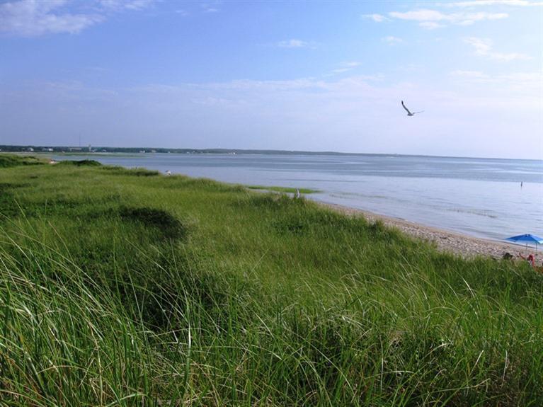 1250 Samoset Road Eastham, MA 02642 - Photo 17 of 29 a view of yard with ocean view