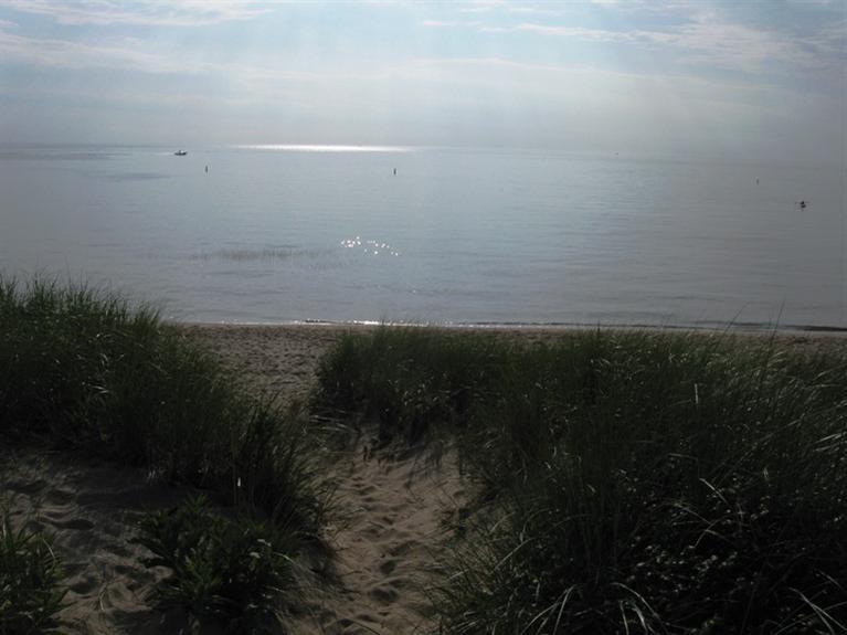 1250 Samoset Road Eastham, MA 02642 - Photo 18 of 29 a view of a field