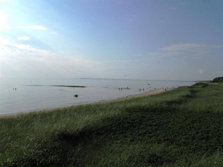 1250 Samoset Road Eastham, MA 02642 - Photo 20 of 29 a view of a field of grass and trees