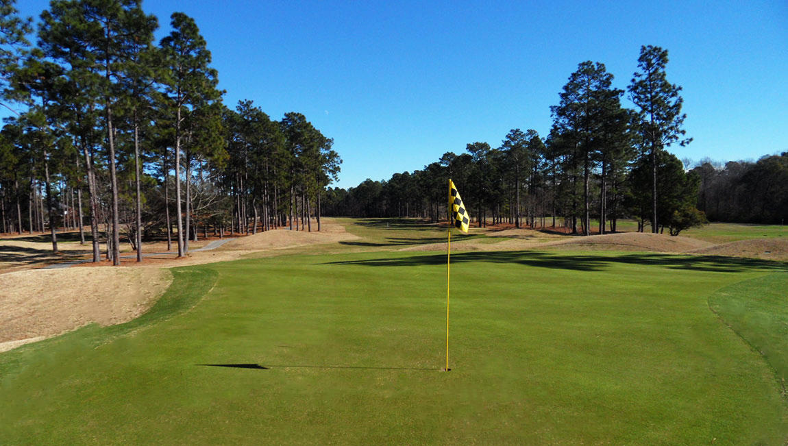 611 Kilarney Road Summerville, SC 29483 - Photo 36 of 52 Pine-Forest_Golf-Hole