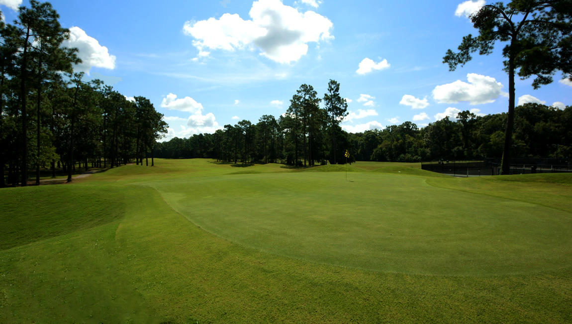 611 Kilarney Road Summerville, SC 29483 - Photo 46 of 52 Pine-Forest-Golf-Course1