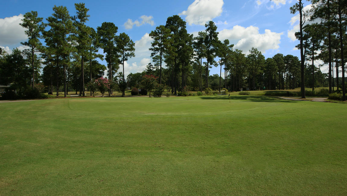 611 Kilarney Road Summerville, SC 29483 - Photo 48 of 52 Pine-Forest-Golf-Course3