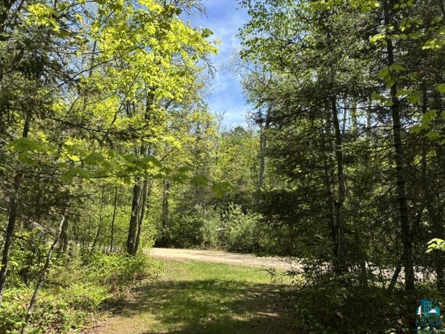 5049 Big Lake Road Ely, MN 55731 - Photo 14 of 14