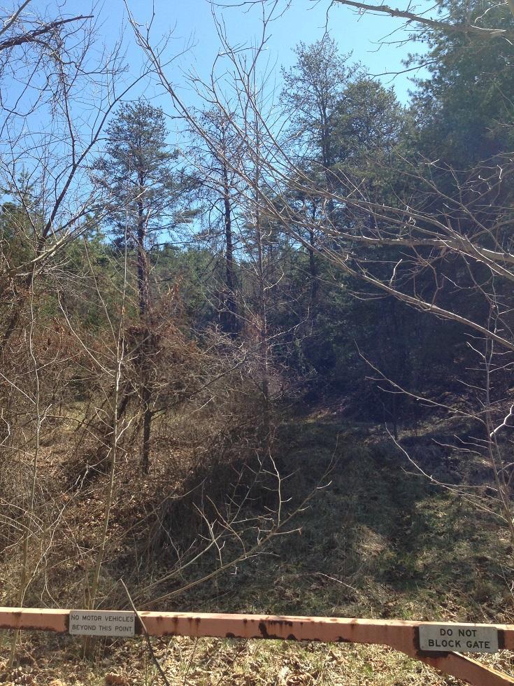 0 Long Run Road Long Bottom, OH 45743 - Photo 2 of 9