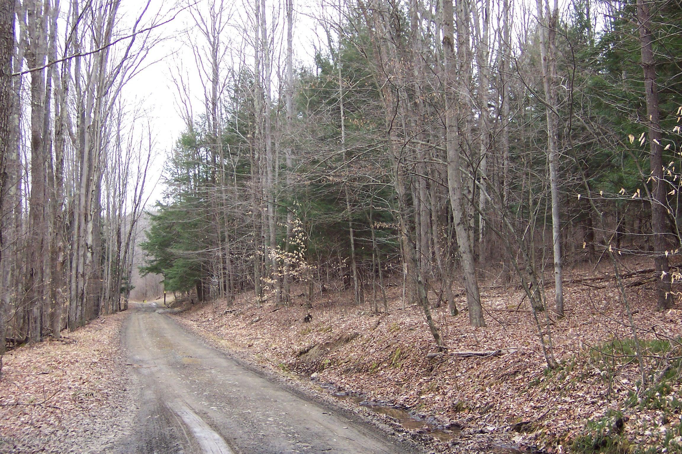 0 Shadduck Road Little Meadows, PA 18830 - Photo 1 of 7 Gallery Image 1