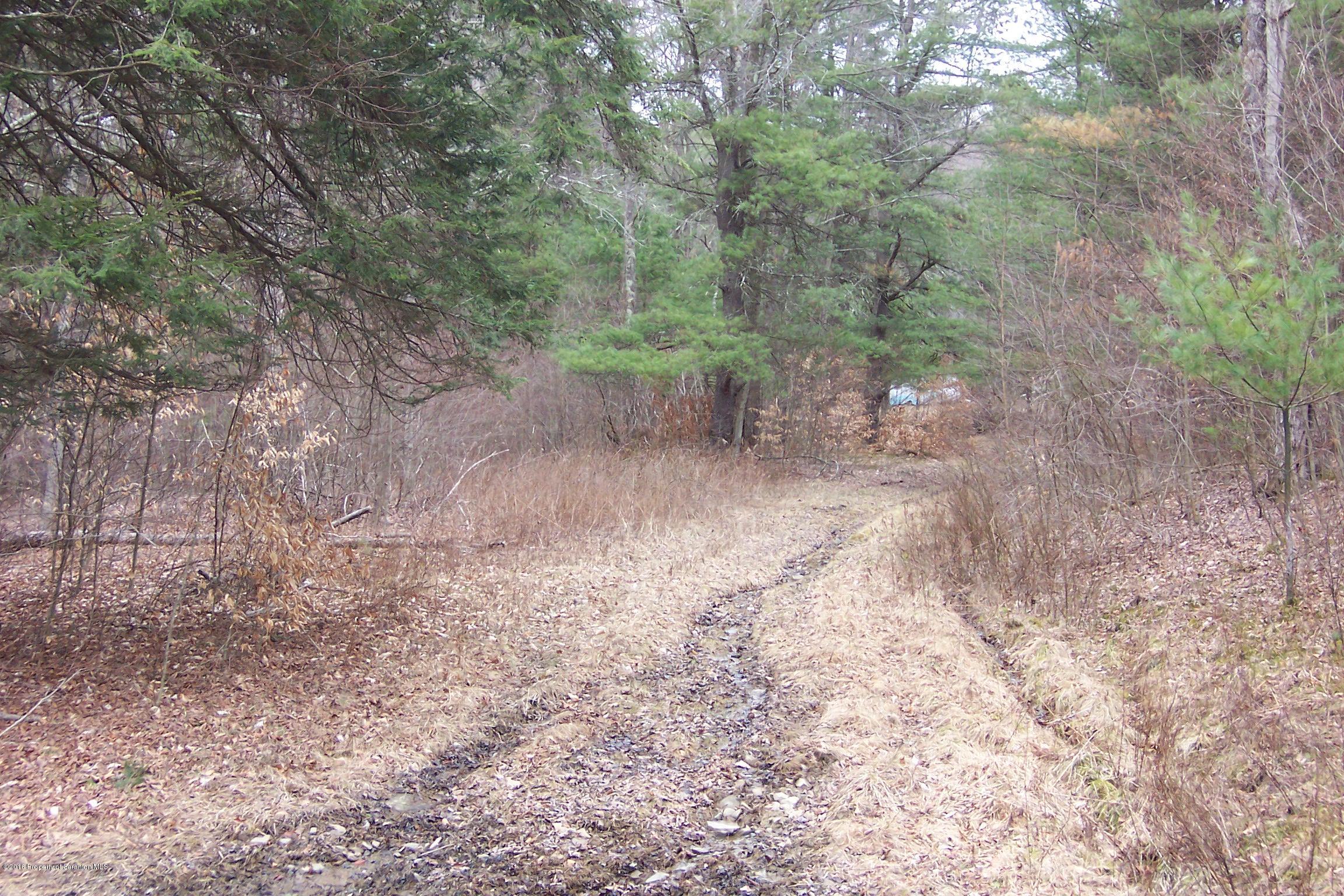 0 Shadduck Road Little Meadows, PA 18830 - Photo 6 of 7 Gallery Image 6