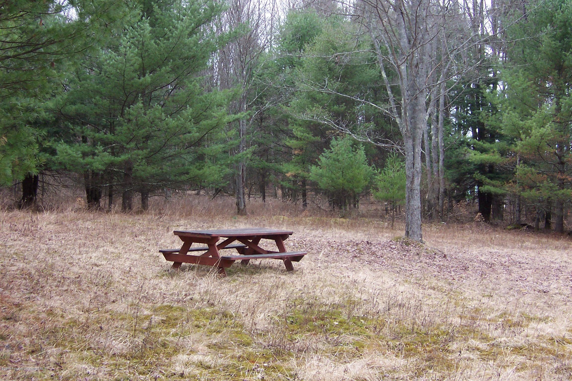 0 Shadduck Road Little Meadows, PA 18830 - Photo 7 of 7 Gallery Image 7