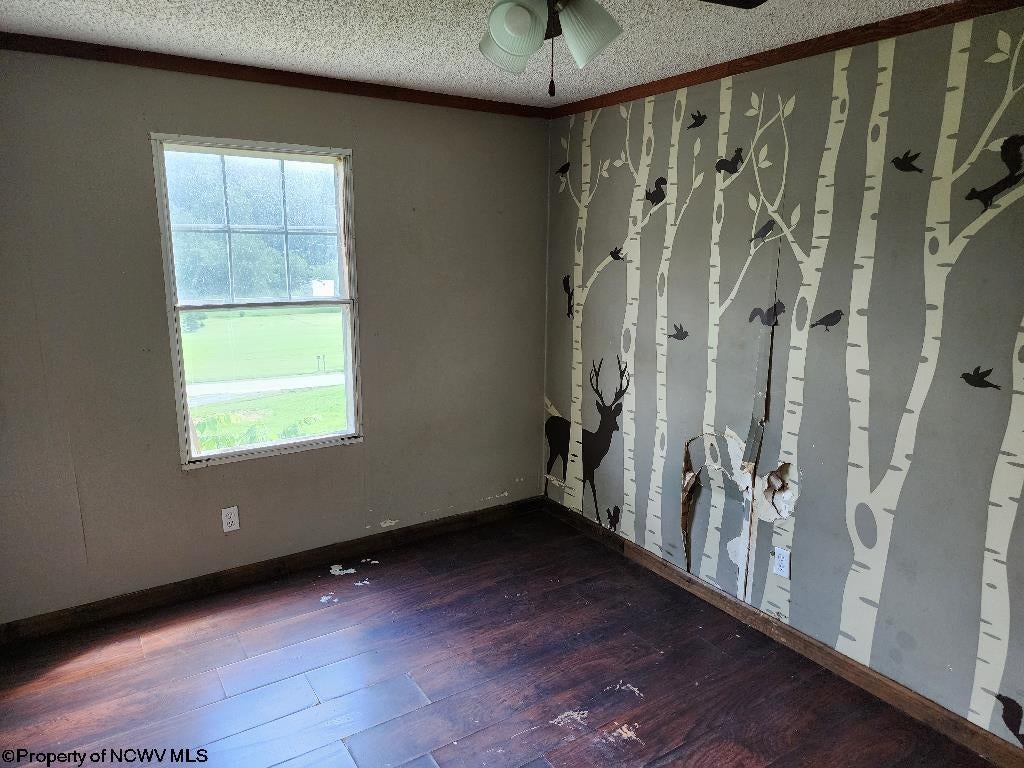 801 Stringtown Road Belington, WV 26250 - Photo 14 of 15 Gallery Image 14