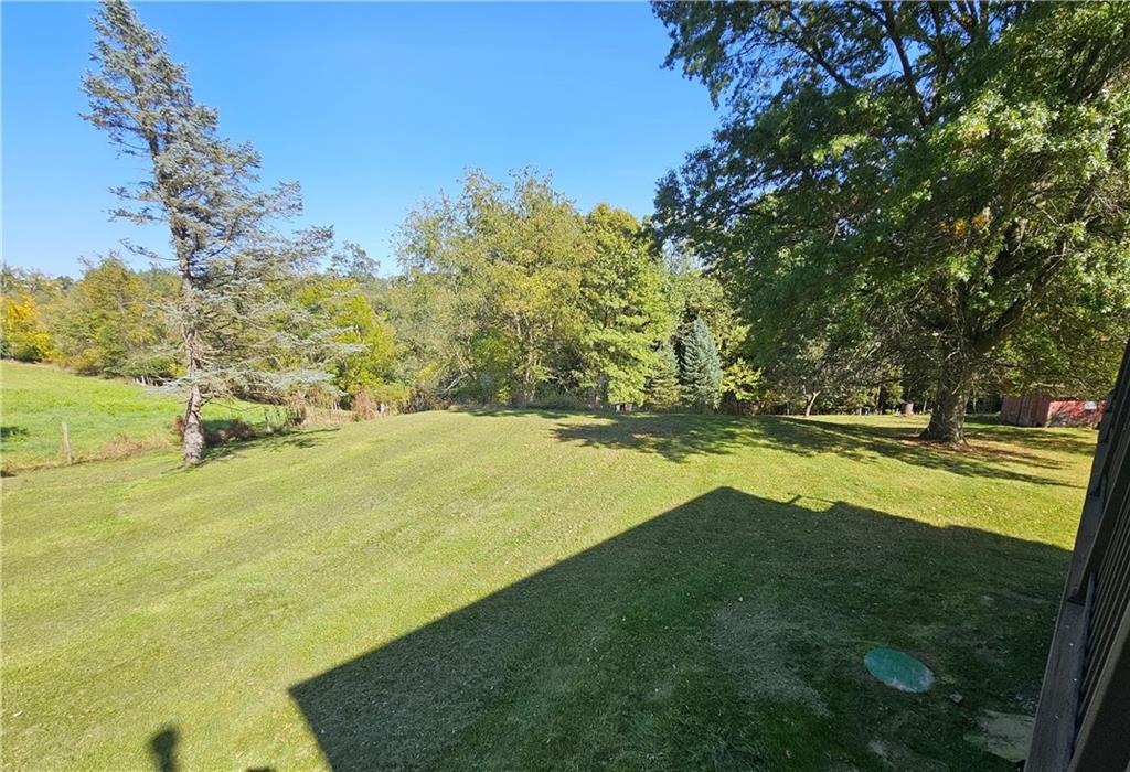 1015 McElree Road Washington, PA 15301 - Photo 7 of 48 a view of yard outdoor space and trees