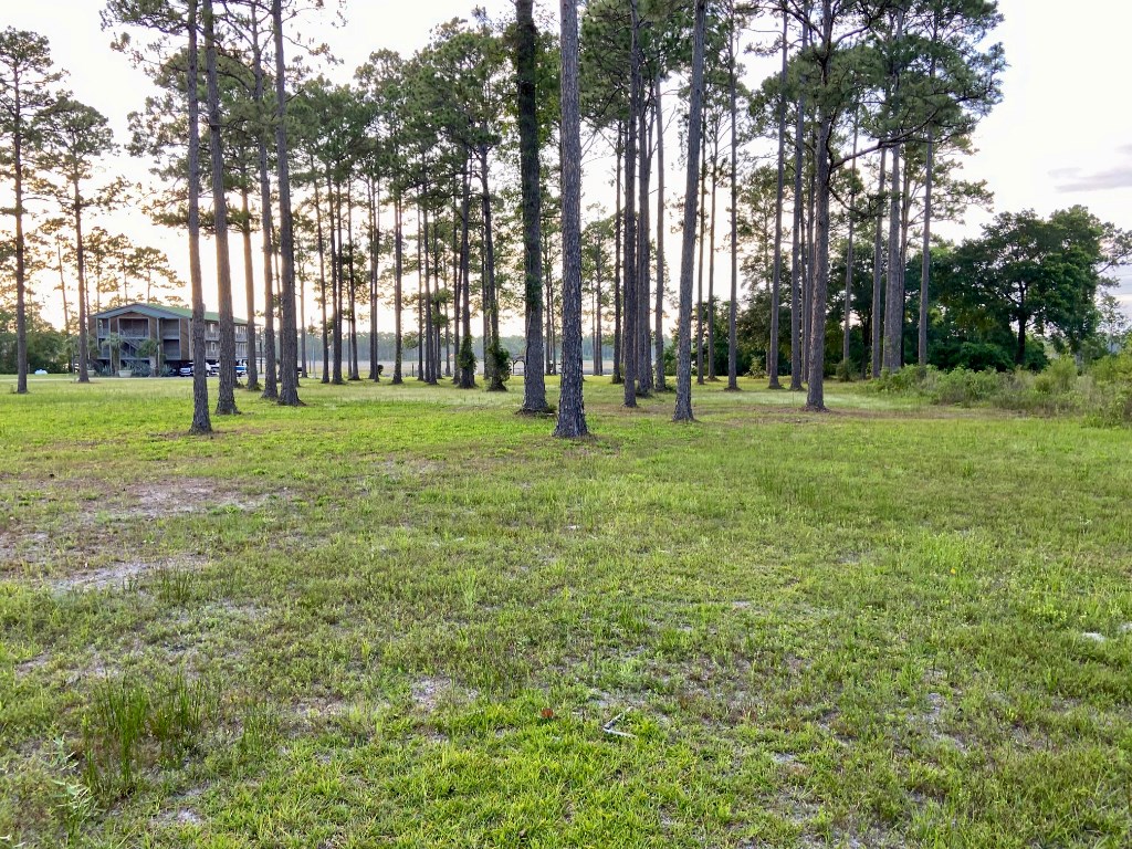 285 Rivers Crook Lane Carrabelle, FL 32322 - Photo 8 of 14 Gallery Image 8