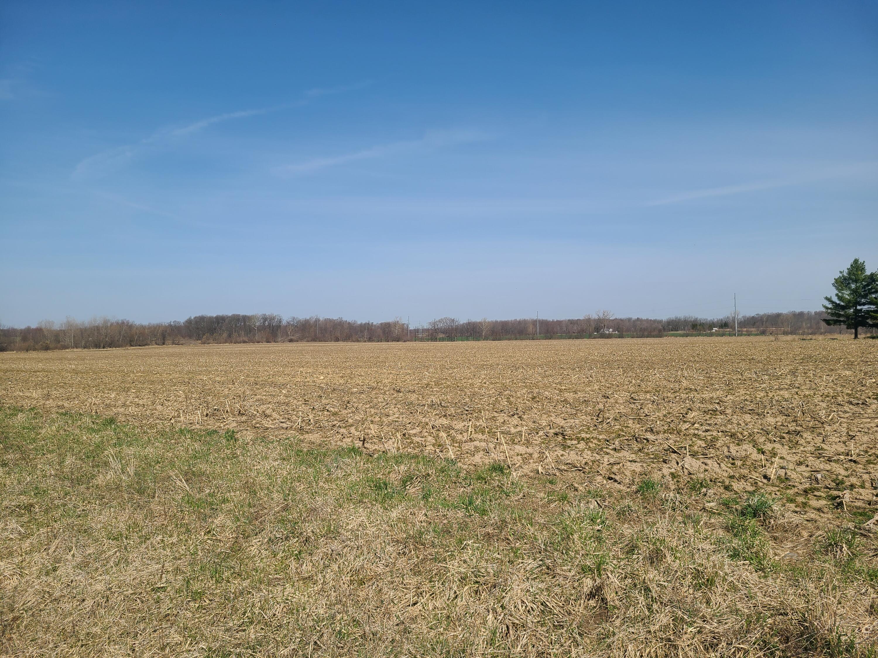 Farrand Road Bronson, MI 49028 - Photo 1 of 4 Field Shot