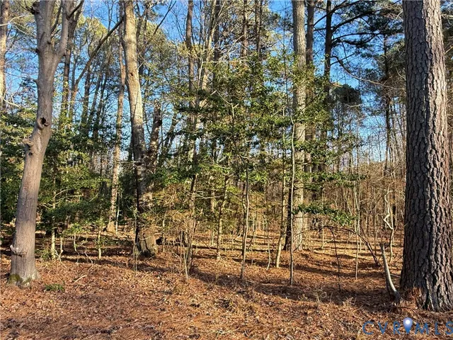 $35,000 | Lot 1 Timberneck Road, Deltaville, VA 23043