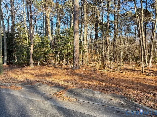 $35,000 | Lot 1 Timberneck Road, Deltaville, VA 23043