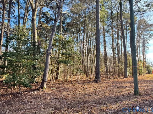 $35,000 | Lot 1 Timberneck Road, Deltaville, VA 23043